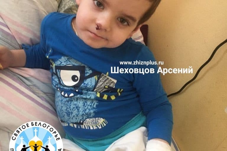 Шеховцов Арсений