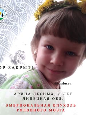 Для Арины Лесных собрана вся необходимая сумма